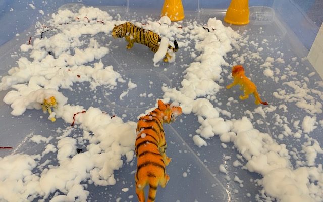 Tigers and foam